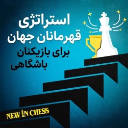 استراتژی قهرمانان جهان برای بازیکنان باشگاهی | IM Thomas Willemze