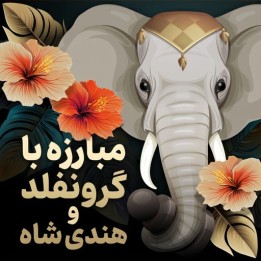 مبارزه با گرونفلد و هندی شاه (GM Michael Roiz) | آموزش شطرنج