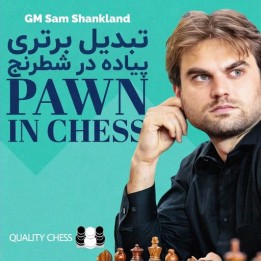 دوره تبدیل برتری پیاده در شطرنج (Converting an Extra Pawn)