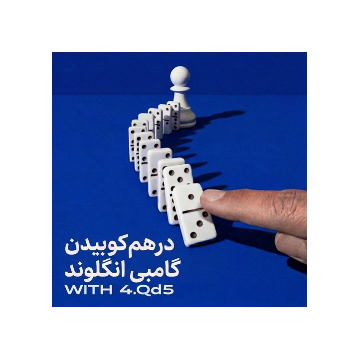 درهم‌کوبیدن گامبی انگلوند با 4.Qd5 | آموزش تخصصی شطرنج